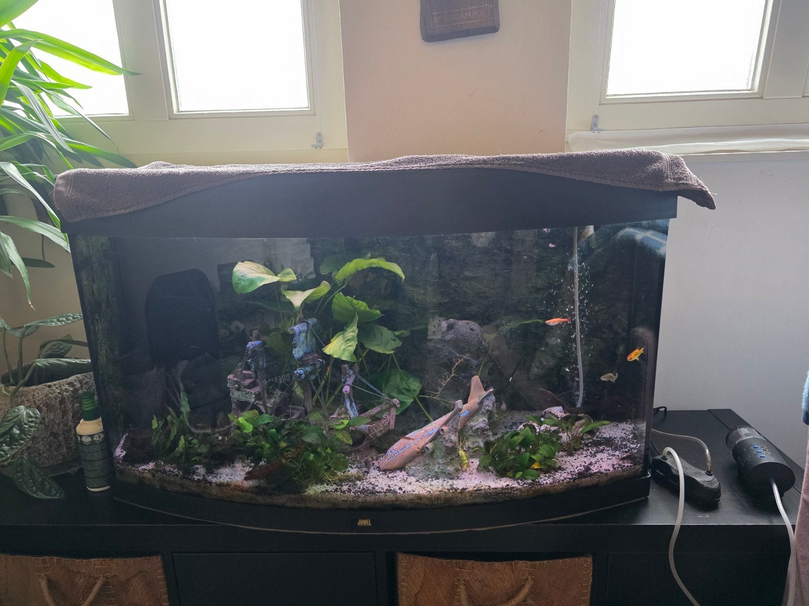 complete Juwel Vision 180L (Panoramaruit) incl. Sera LED & m, Dieren en Toebehoren, Ophalen, Gebruikt, Leeg aquarium