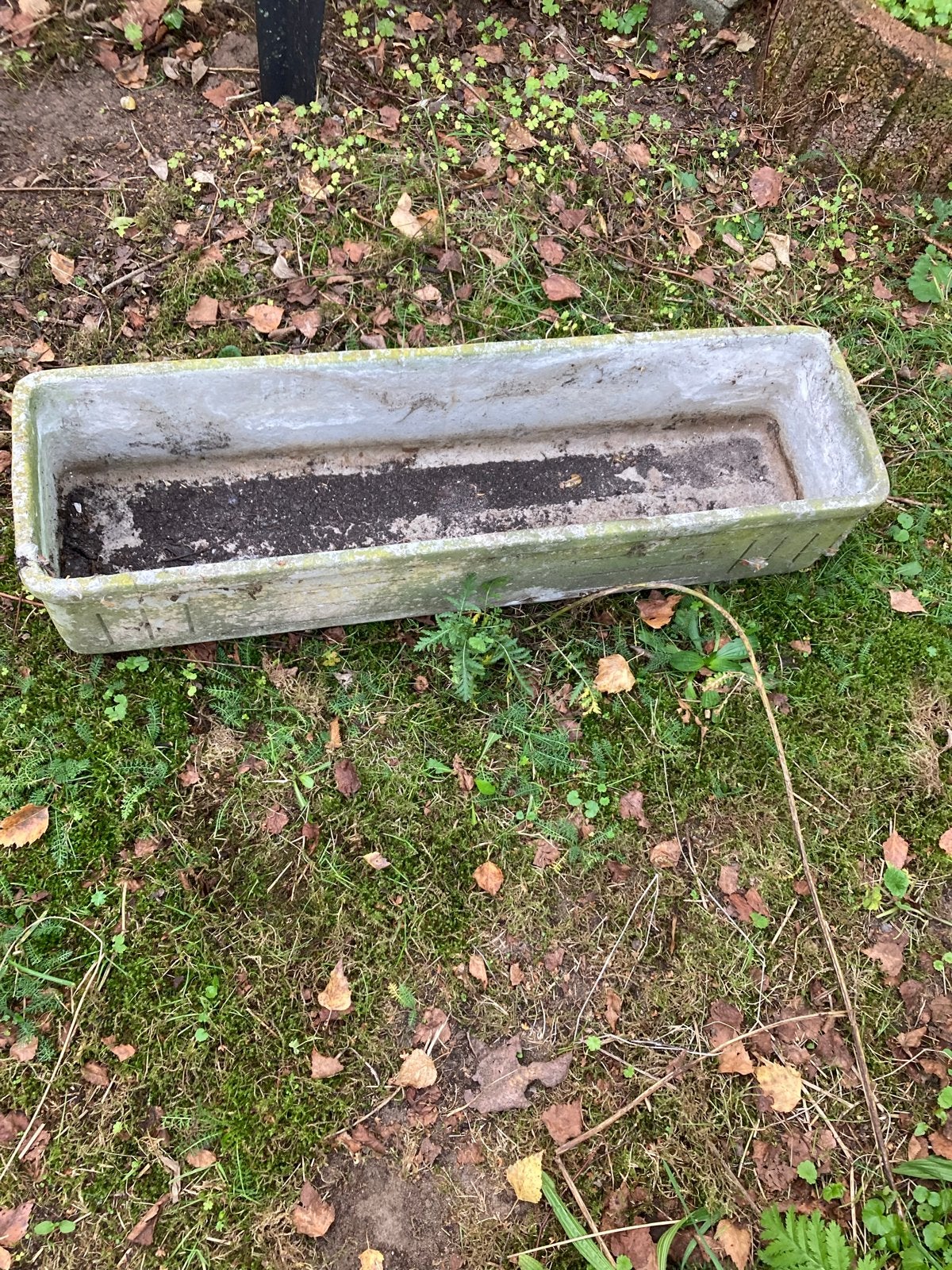 Robuuste betonnen bloembak voor tuin of balkon, Gebruikt, Minder dan 30 cm, Balkon, Ophalen of Verzenden