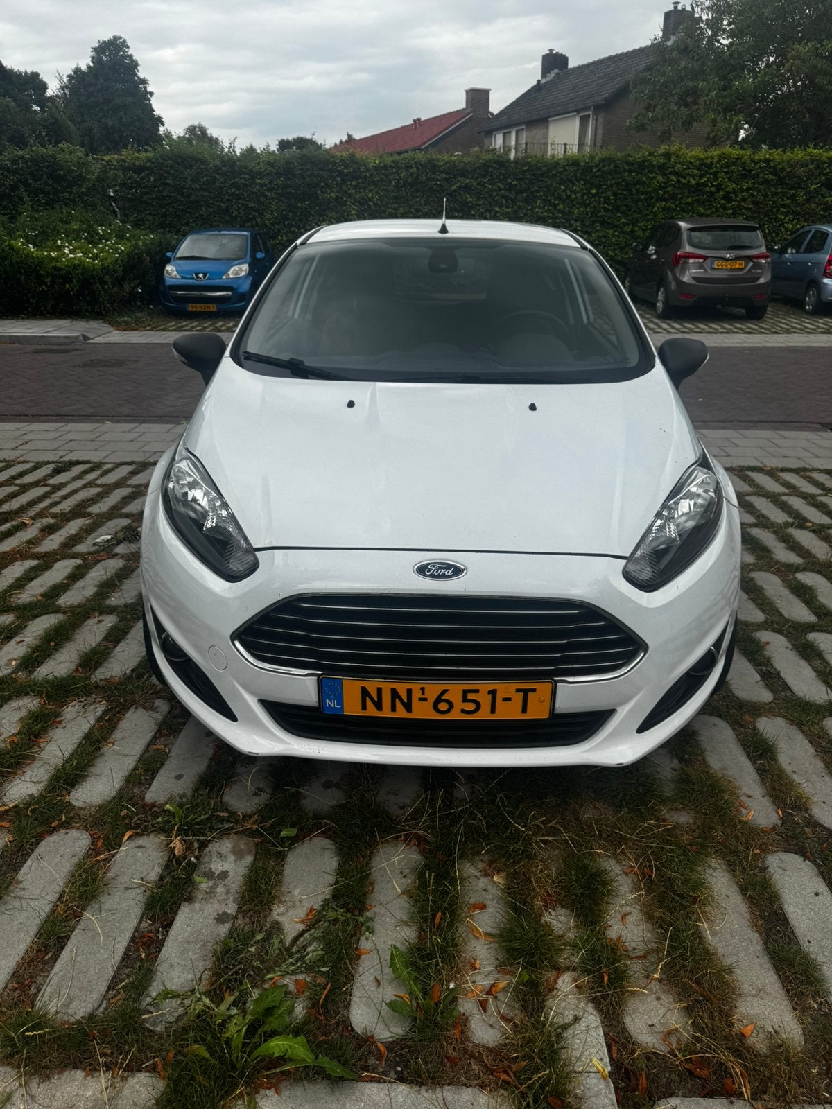 Ford 2013