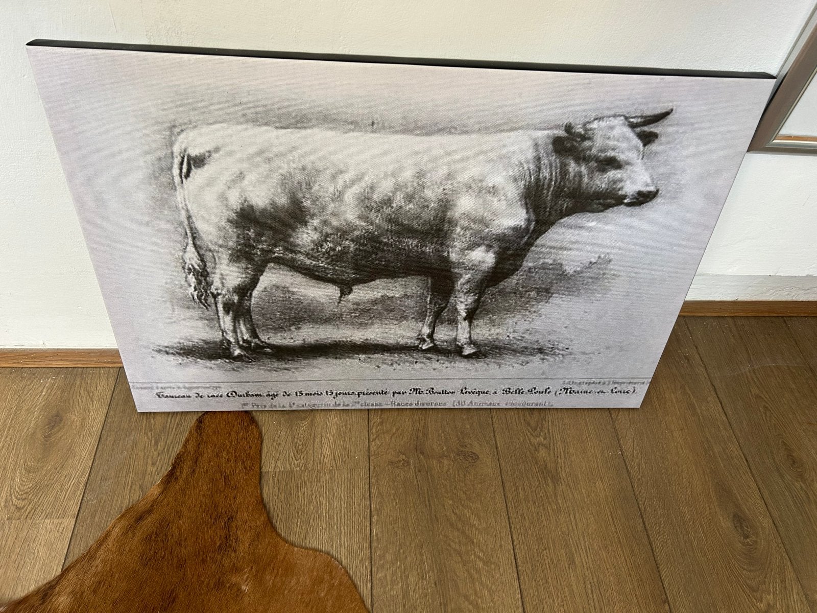 Franse stamboek stier op canvas in houten raamwerk, Antiek en Kunst, Kunst | Schilderijen | Klassiek, Ophalen of Verzenden