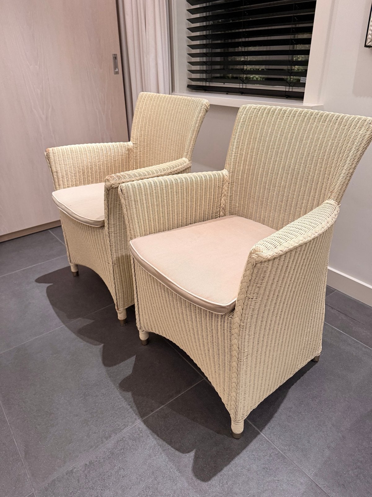 Twee rieten eetkamerstoelen met armleuningen, Ophalen, Gebruikt, Twee, Overige kleuren