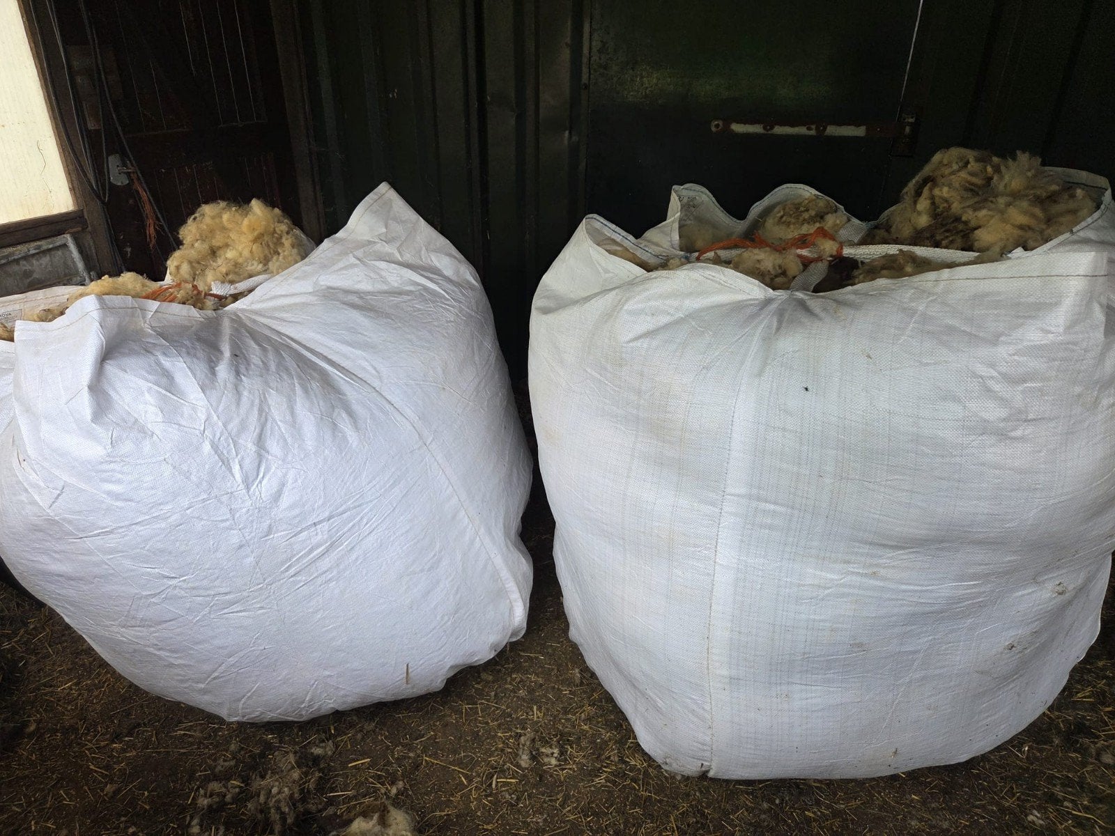 45 schapen vachten, Dieren en Toebehoren, Schapen, Geiten en Varkens, Geslacht onbekend, Schaap