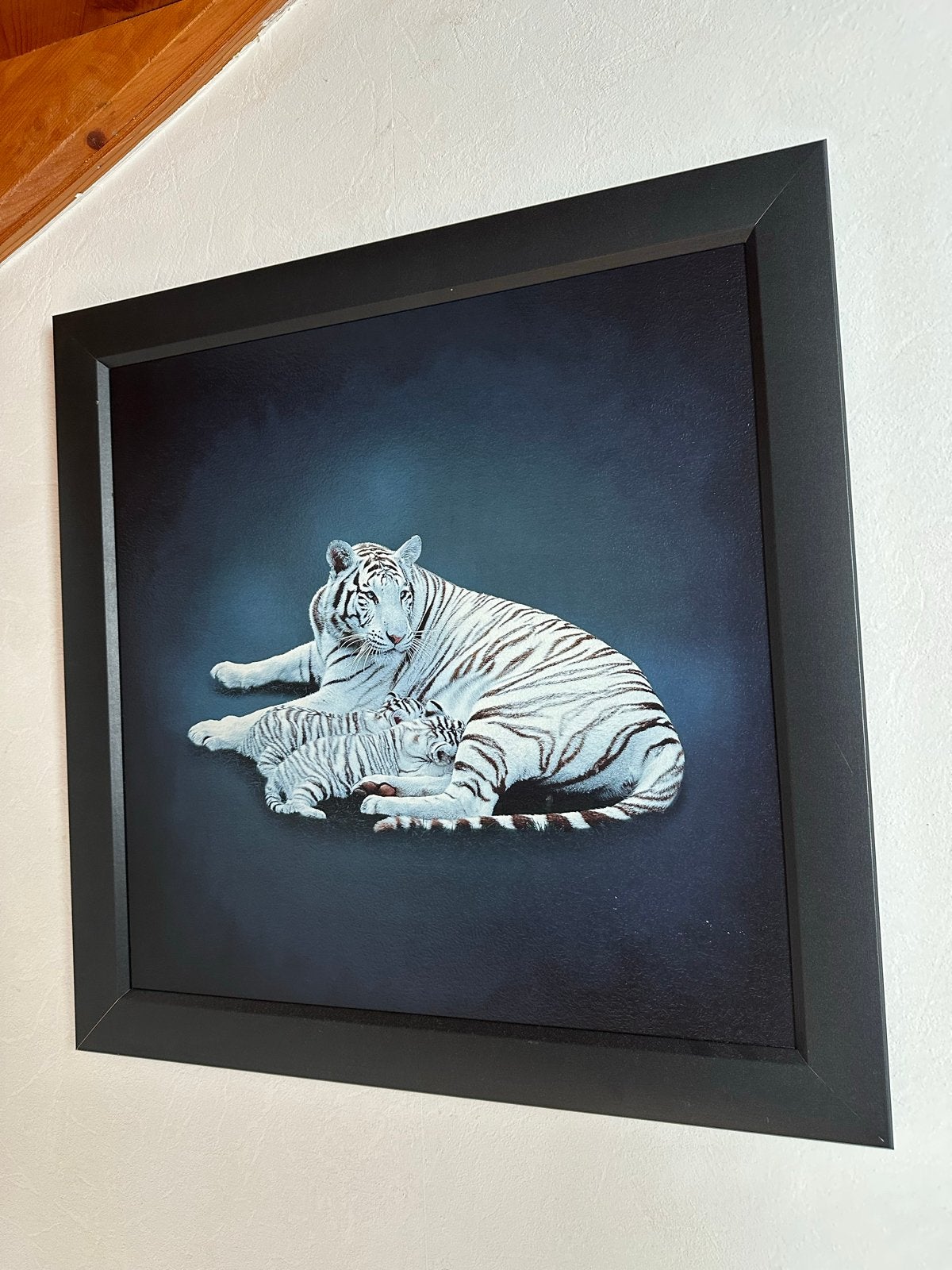 Schilderij Witte Tijgers 58 x 58 cm, Ophalen, 50 – 75, Zo goed als nieuw, Schilderij