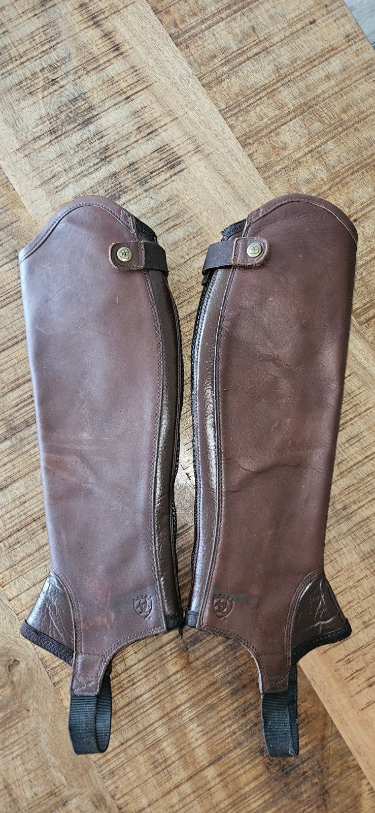 Ariat Concord Chaps Smooth Chocolate (bruin) S zgan, Overige typen, Kinderen, Ophalen of Verzenden, Bruin