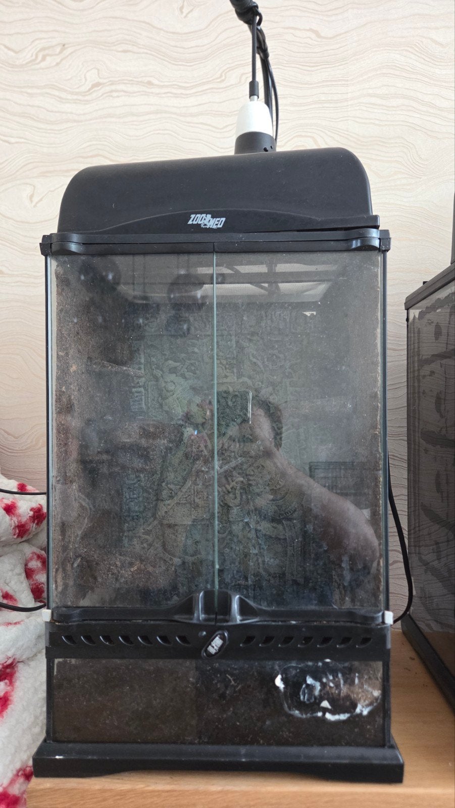 Terrarium, Ophalen, Zo goed als nieuw, Terrarium of Paludarium