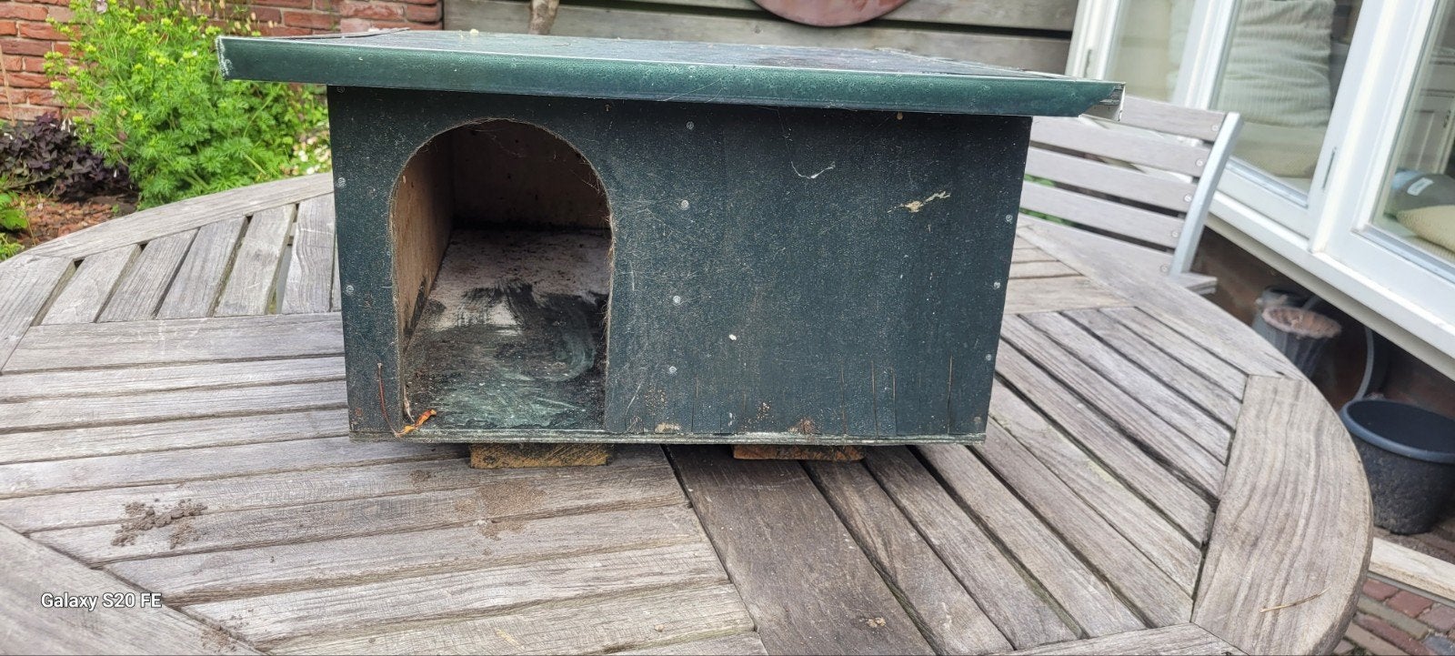 Egelhuis, Dieren en Toebehoren, Ophalen, 110 cm of meer, 100 cm of meer