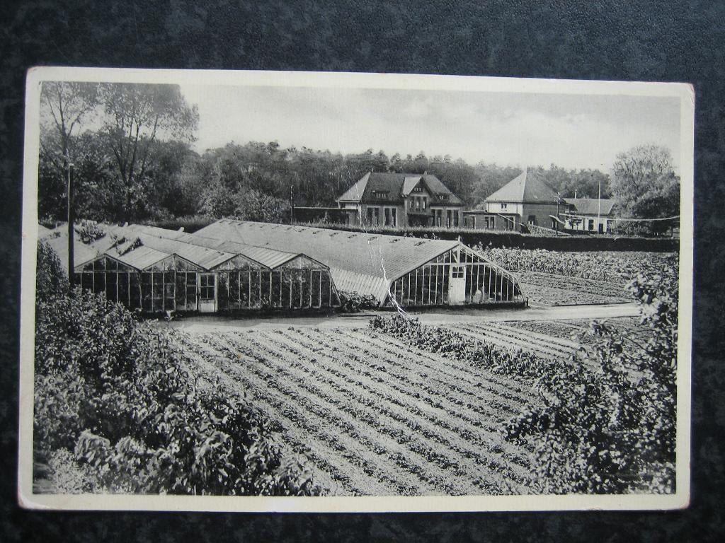 De GLIND Jeugddorp DE rudolphstichting, Ophalen of Verzenden, 1940 tot 1960, Gelderland