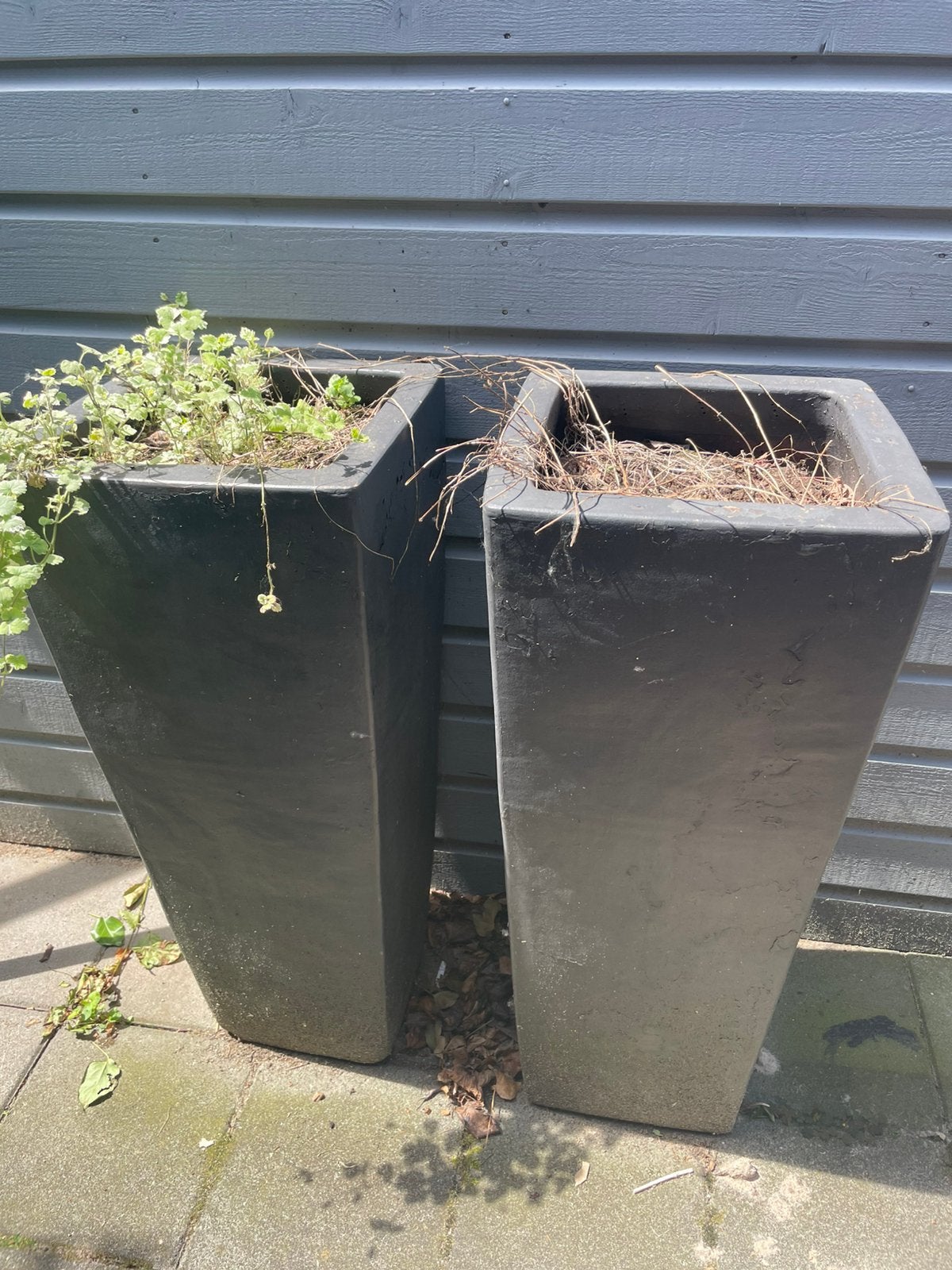 Bboempotten (gratis), Ophalen, Gebruikt, Rond, 60 cm of meer