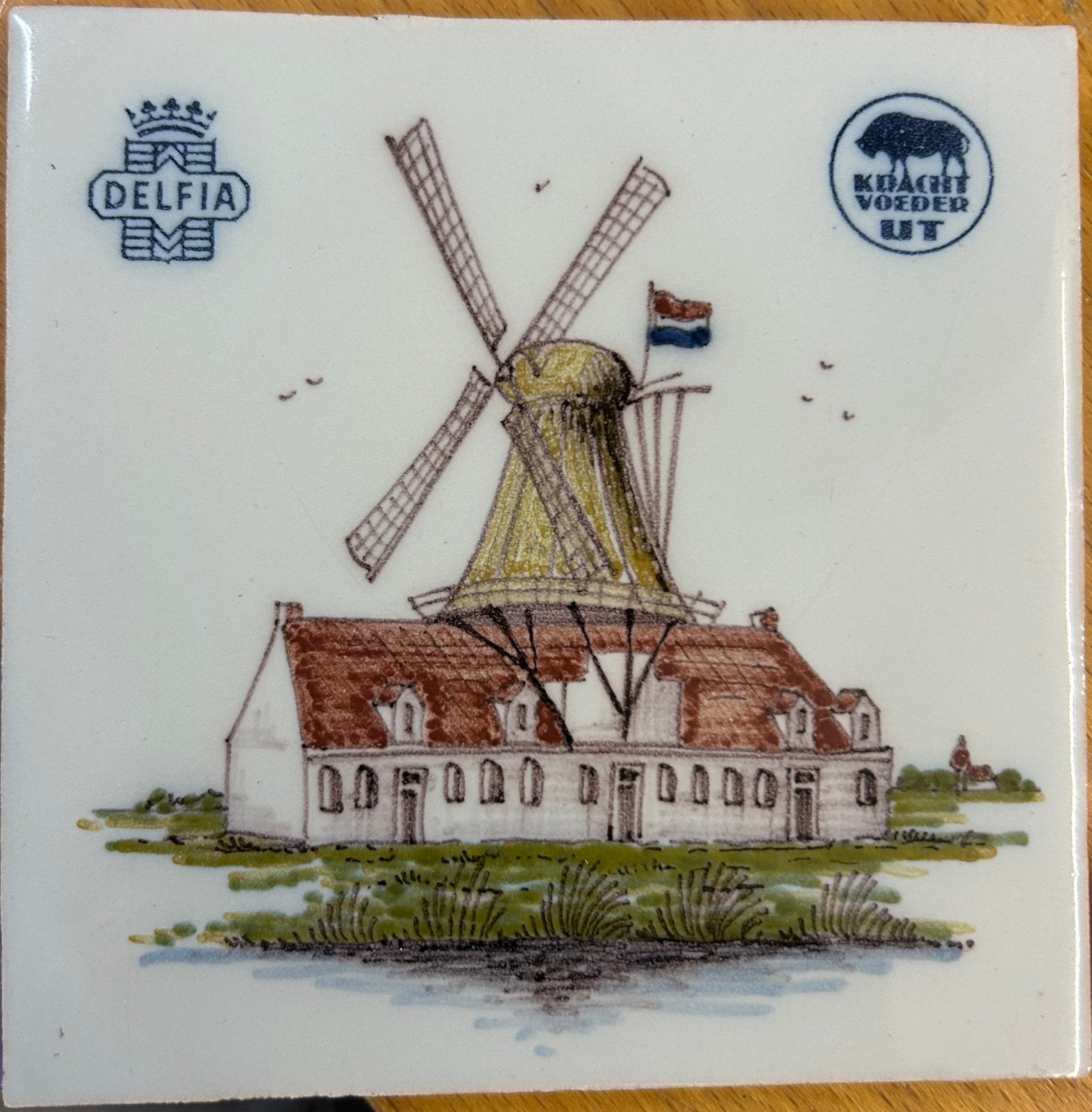 Prachtig Makkumer tegeltje uit Akkrum Delfia, Ophalen of Verzenden
