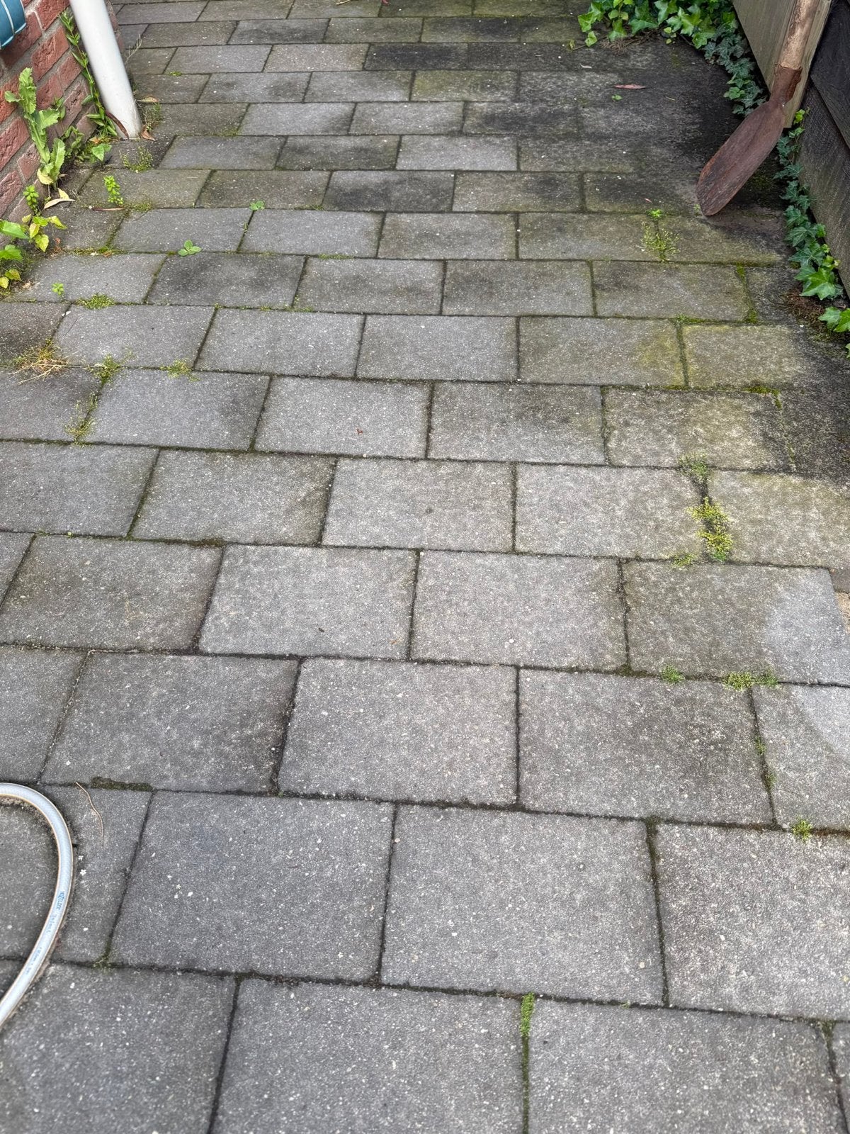 Gebruikte tegels. GRATIS. Ongeveer 40 m2, Ophalen, Gebruikt, 10 m² of meer, Beton