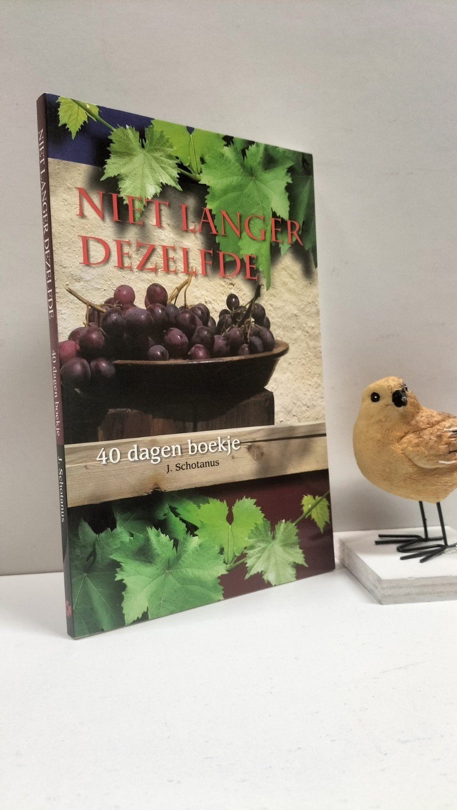 Schotanus, J. ; Niet langer dezelfde (40 dagen boekje, Ophalen of Verzenden, Gelezen, Christendom | Protestants