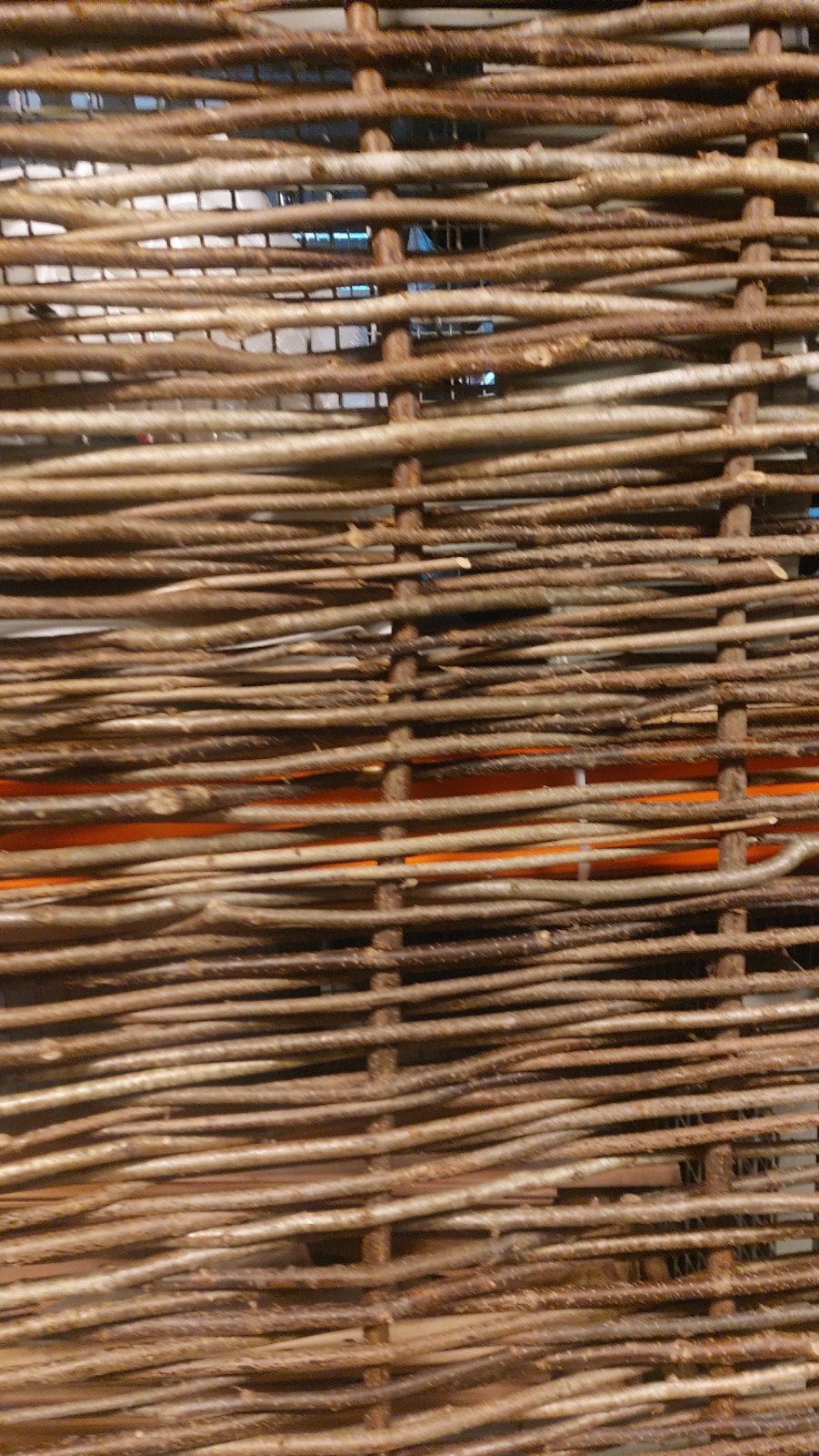 Natuurlijke hazelaarscherm  schutting/tuinscherm, Tuin en Terras, Ophalen, 1 tot 2 meter, Minder dan 3 meter, Nieuw