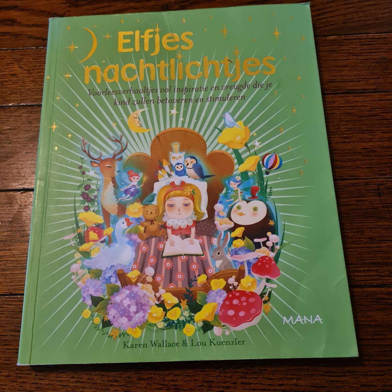 Karen Wallace - Elfjes nachtlichtjes, Boeken, Karen Wallace, Fictie algemeen, Ophalen of Verzenden, Zo goed als nieuw