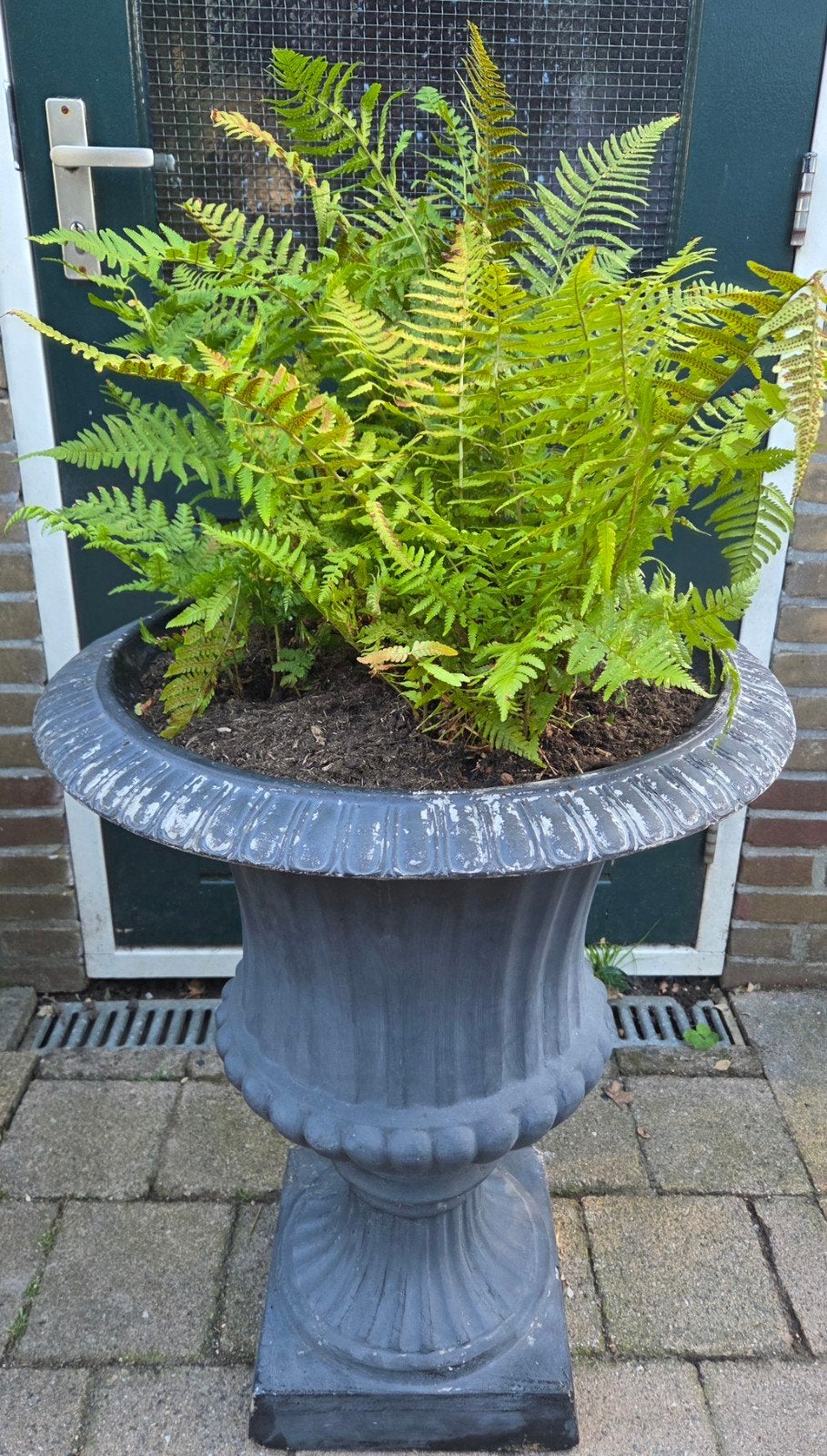 Grote tuinvaas met varens varen, Tuin en Terras, Ophalen, Gebruikt