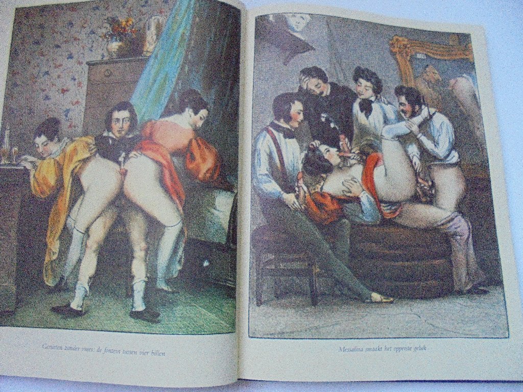 Venus’ Lusthof geschiedenis erotiek (Bij7-45), Boeken, Ophalen