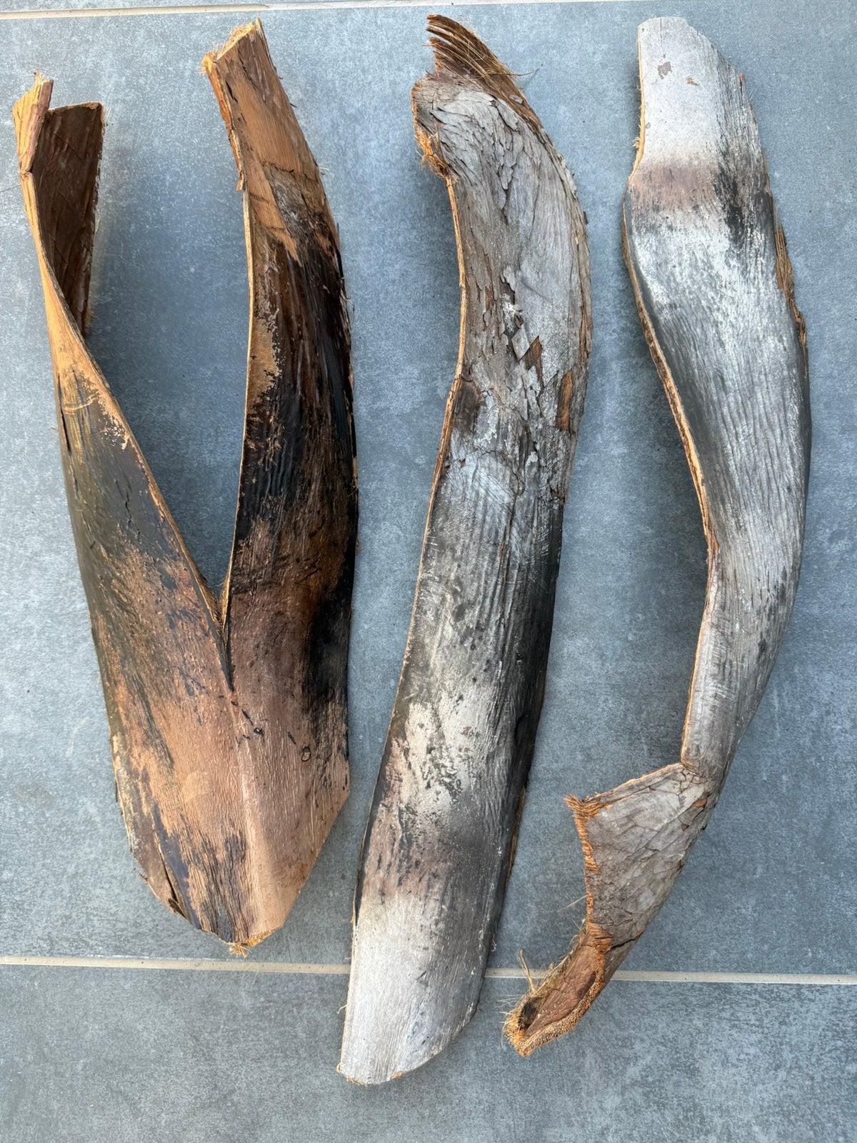 Decoratieve  palmbladeren/ palmshings, Ophalen of Verzenden, Zo goed als nieuw