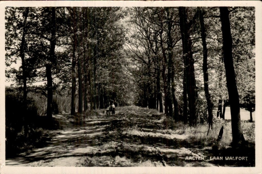 Aalten - Laan - Walfort, Ophalen of Verzenden, 1920 tot 1940, Gelopen, Gelderland
