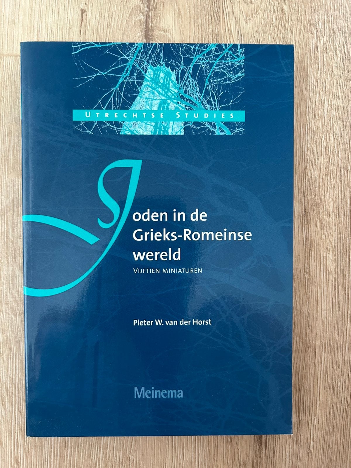Joden in de Grieks-Romeinse wereld - Pieter W. van der Horst, Ophalen of Verzenden, Zo goed als nieuw