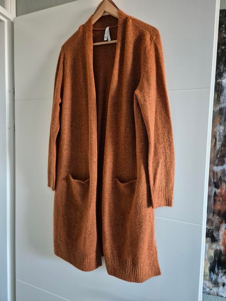 Prachtig lang vest roestkleur mt XL miss etam, Ophalen of Verzenden, Zo goed als nieuw, Maat 46/48 (XL) of groter