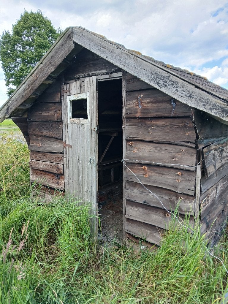 gratis ophalen schuilhok voor schapen pony of andere dieren, Meerdere dieren, Schaap