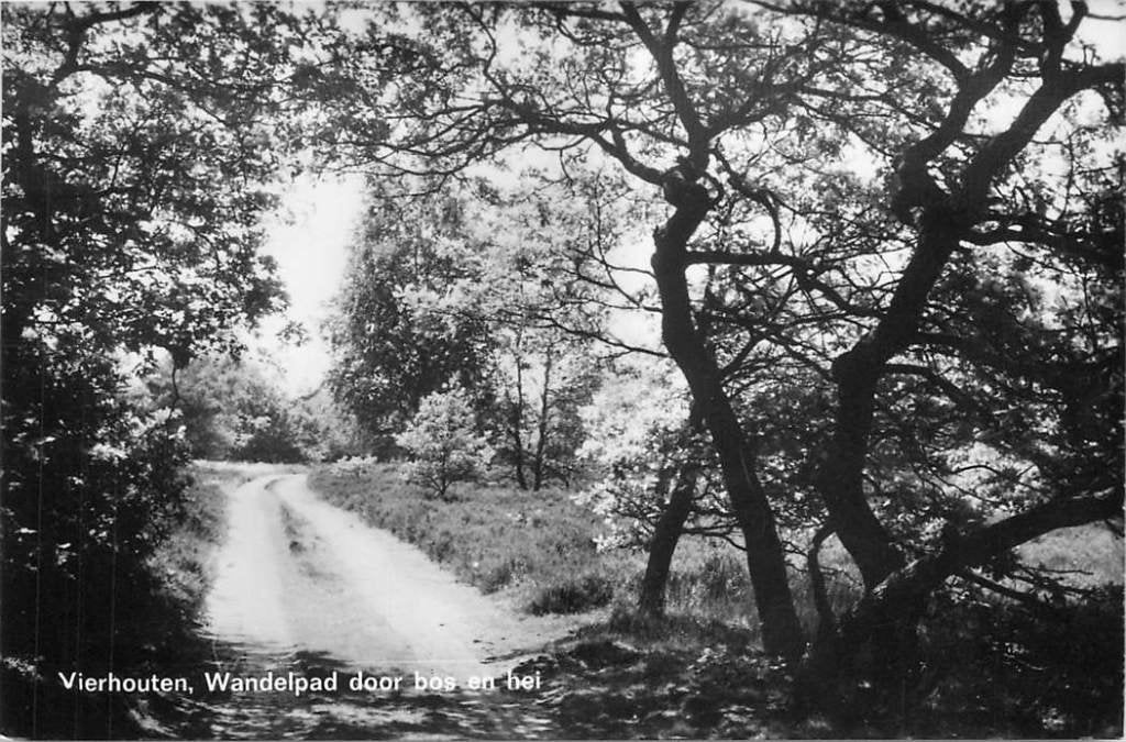381-145-013 Vierhouten Wandelpad door bos en hei, Verzenden, Voor 1920, Gelderland