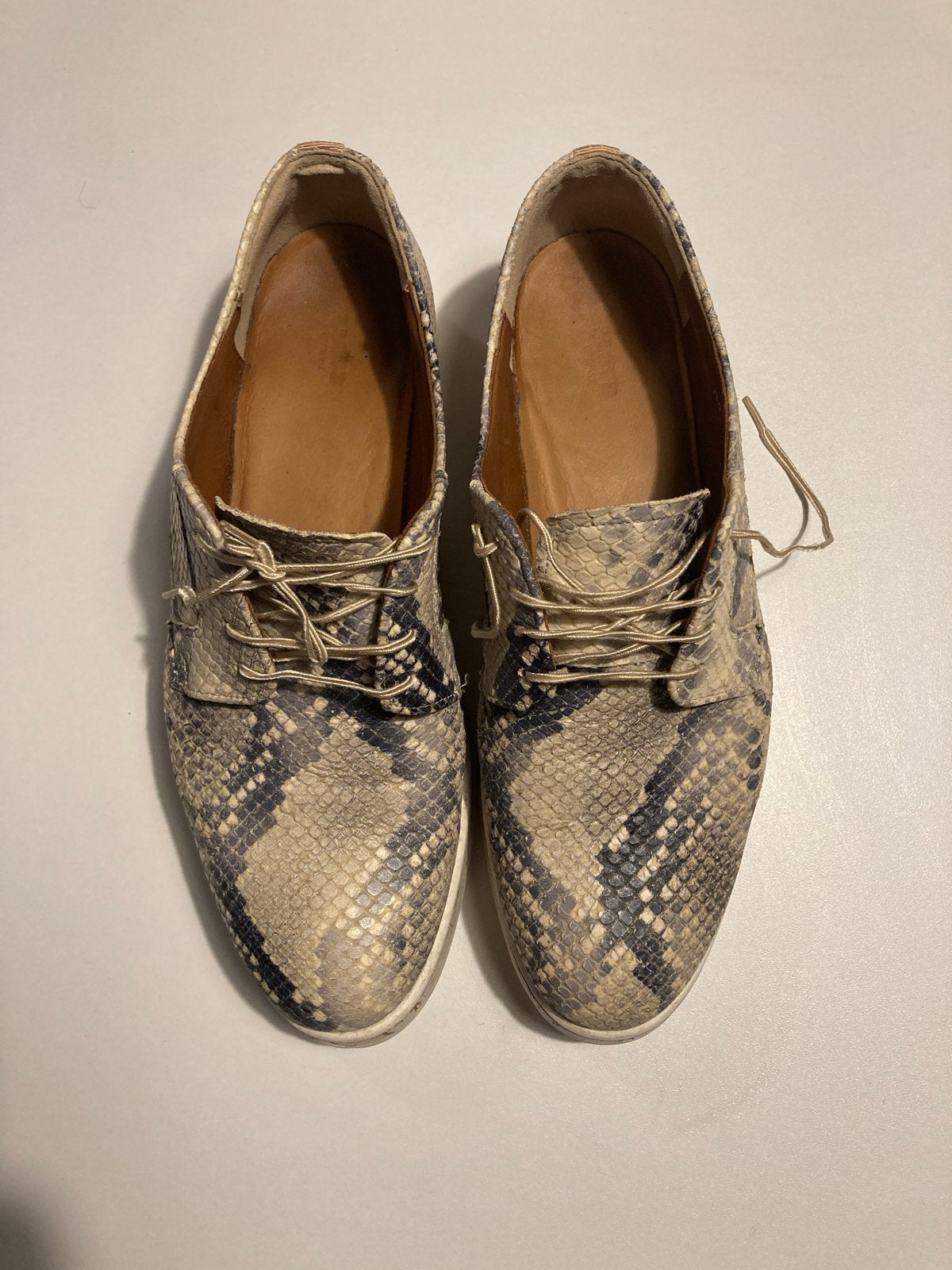 LLOYD heren schoenen (slangenprint) – Maat 41 (UK 7), Ophalen of Verzenden, Gedragen, Overige kleuren, Schoenen met lage hakken