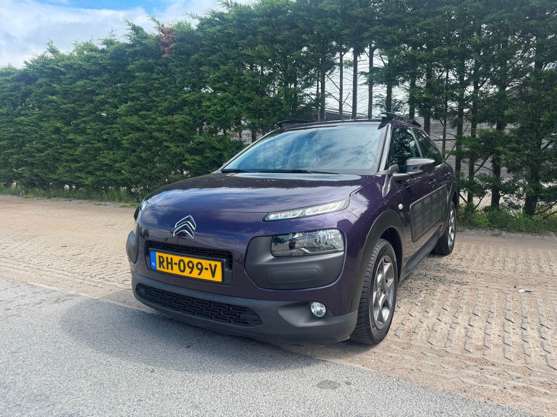 Citroen C4 Cactus 1.6 BlueHDi Business Plus, Voorwielaandrijving, Gebruikt, Euro 6, 96 €/maand
