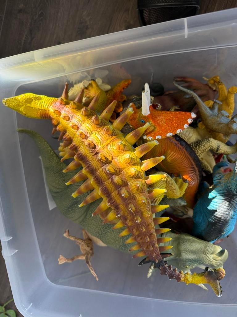Verschillende dino’s, Ophalen, Zo goed als nieuw, Jongen of Meisje