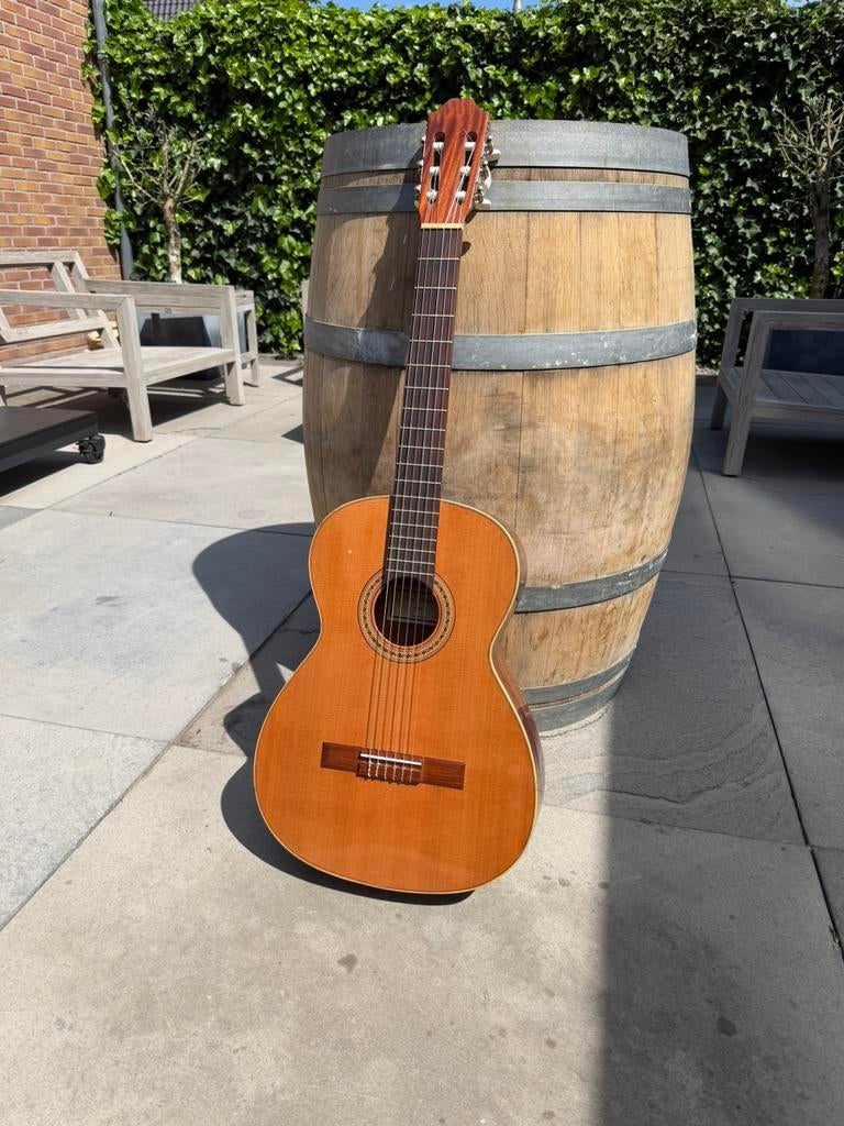 Juan Salvador gitaar, Ophalen, Zo goed als nieuw, Klassieke of Spaanse gitaar
