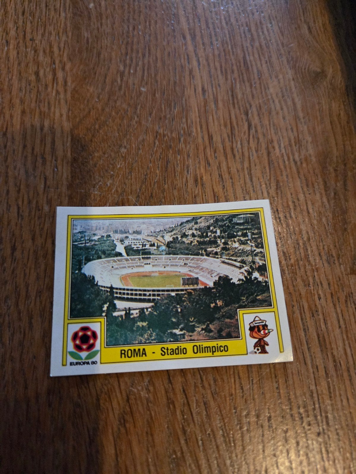Panini EK 80, Ophalen of Verzenden, Zo goed als nieuw, Sticker