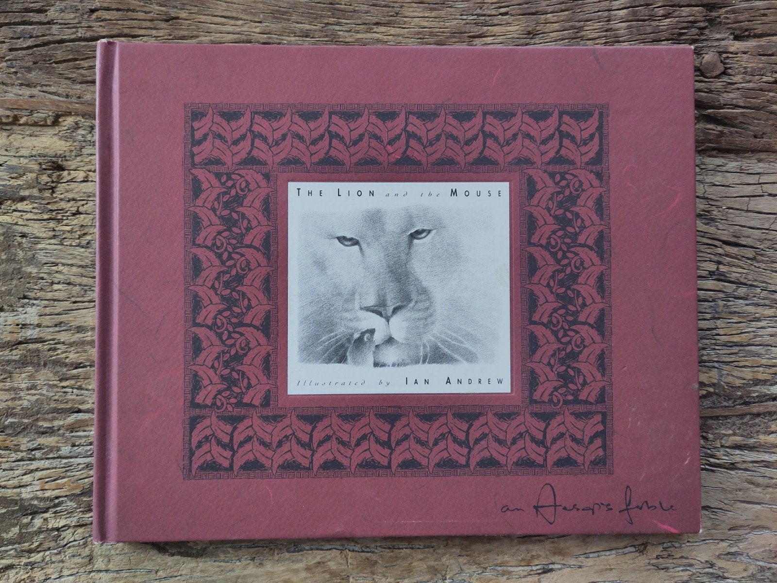 Boek The Lion and the Mouse - Ian Andrew, Ophalen of Verzenden, Gelezen, A.J. Wood, Prentenboek