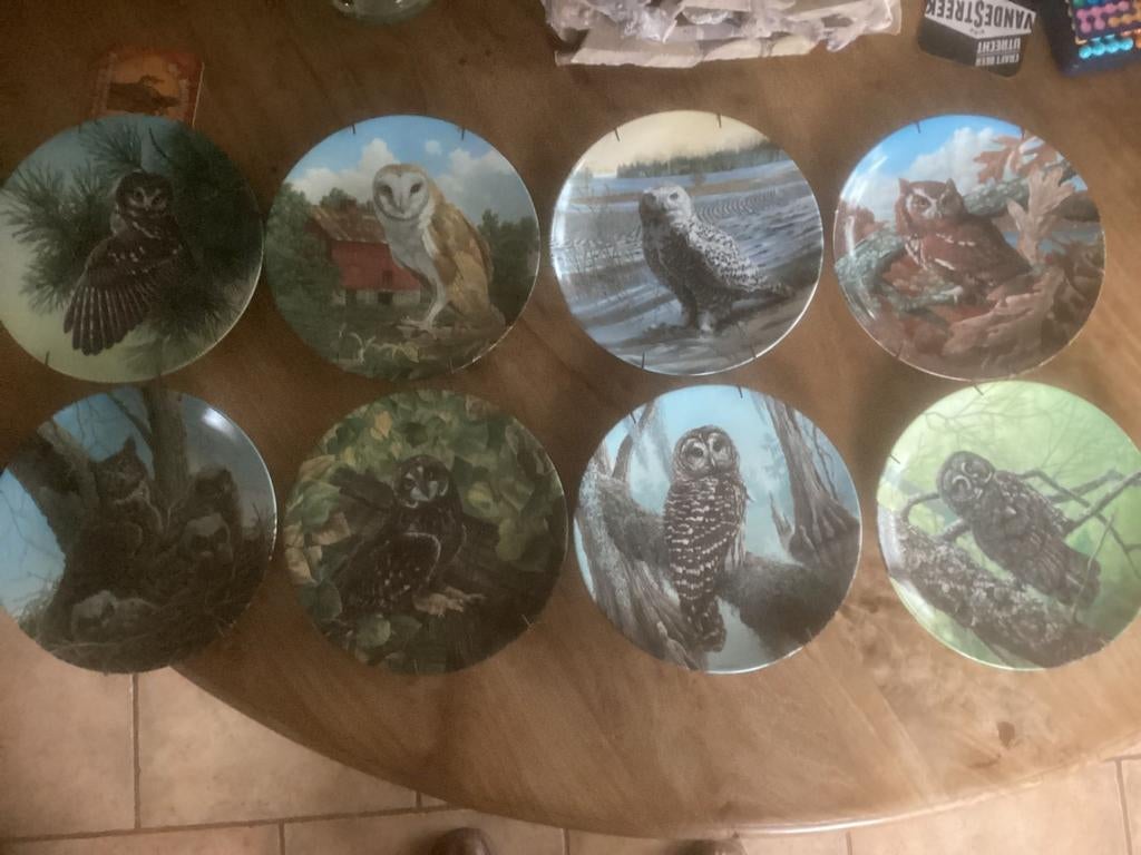 8x porselijnen verzamel uilen wandbordjes Edwin M. KNOWLES, Ophalen of Verzenden