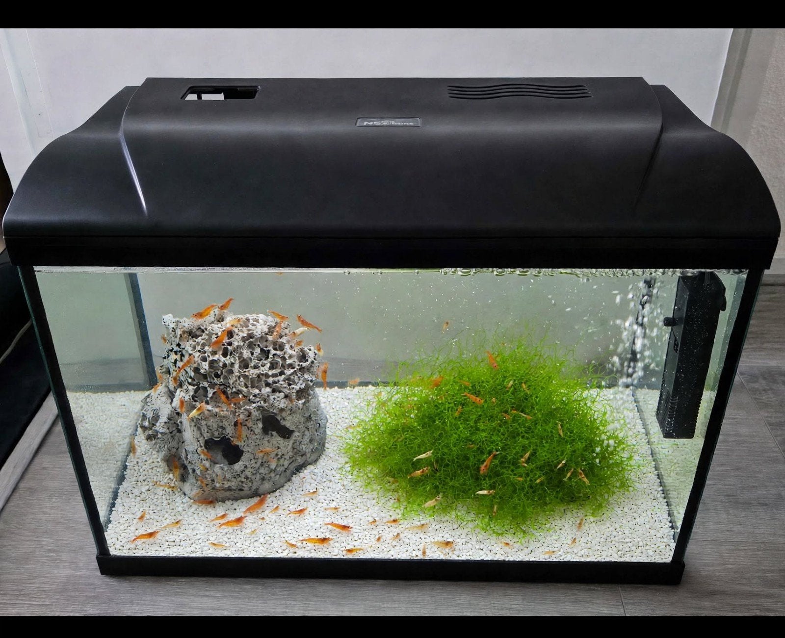COMPLEET AQUARIUM GEVULD MET 40 ORANGE SAKURA GARNALEN, Ophalen, Zo goed als nieuw