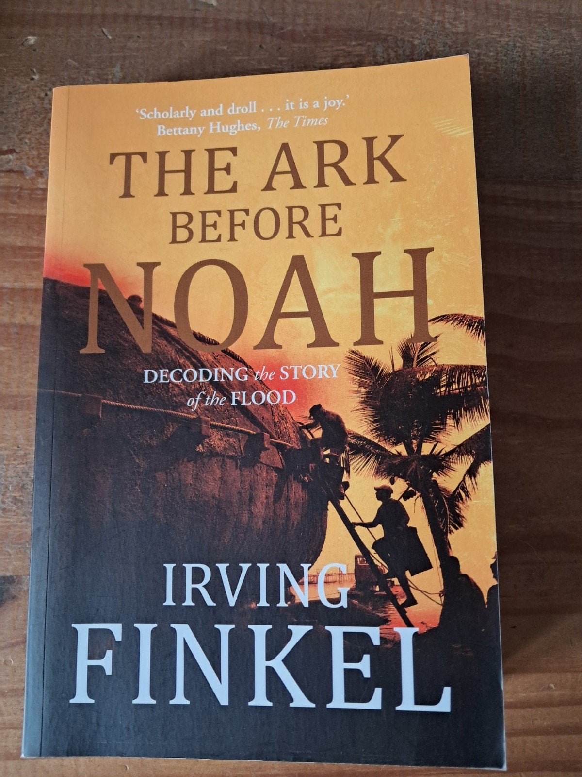 The Ark Before Noah: Decoding the Story of the Flood, Ophalen of Verzenden, Zo goed als nieuw, Irving Finkel, Overige religies