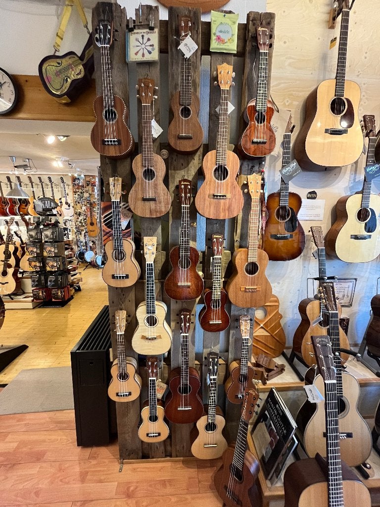 UKULELES (Martin, Eastman, Kala, Korala, Cordoba & meer), Ophalen, Nieuw, Ukelele