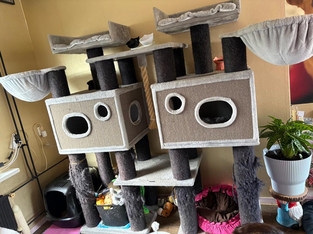 Prachtige grote krabpaal voor grote katten, Dieren en Toebehoren, Katten-accessoires, Ophalen, Gebruikt