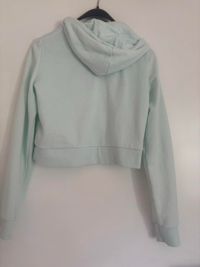 Kledingpakket: Broeken, shirts, hoodies, sweaters, Ophalen, Zo goed als nieuw, Maat 34 (XS) of kleiner, Kort