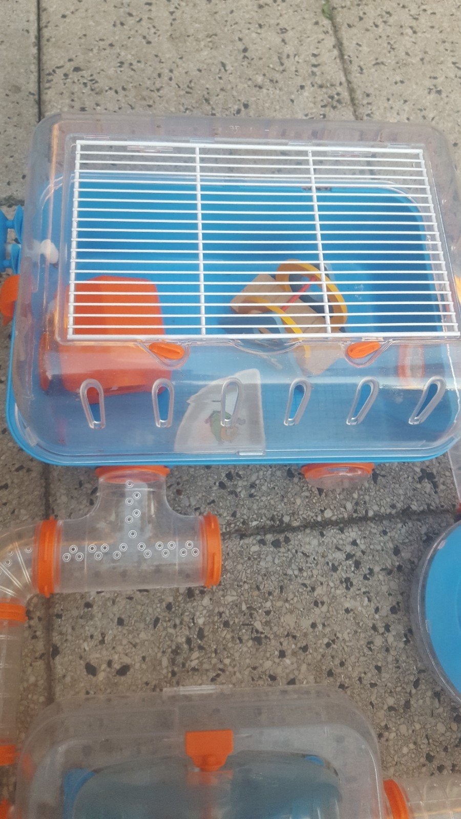 hele mooie,zeer complete hamsterkooi, Kooi, Minder dan 75 cm, Zo goed als nieuw, Hamster