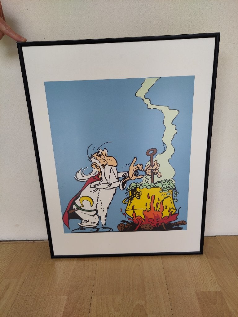 Asterix en Obelix poster van de Druide (61x45,5cm) met lijst, Ophalen, Met lijst, A1 t/m A3, Overige onderwerpen