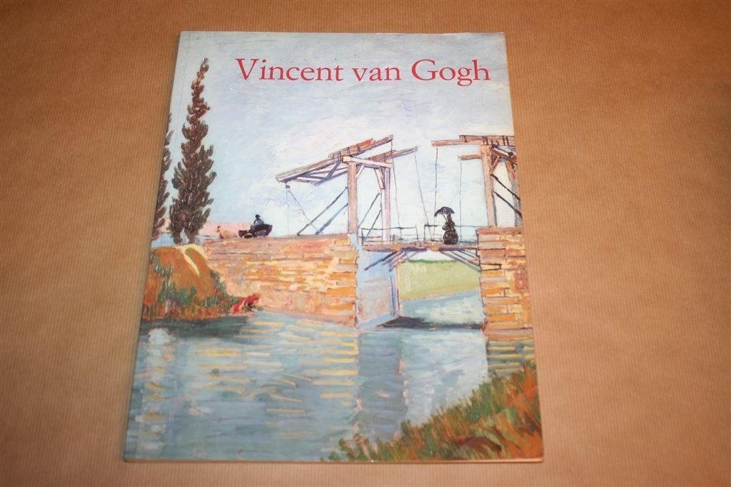 Vincent van Gogh - Visie en werkelijkheid, Ophalen of Verzenden, Gelezen