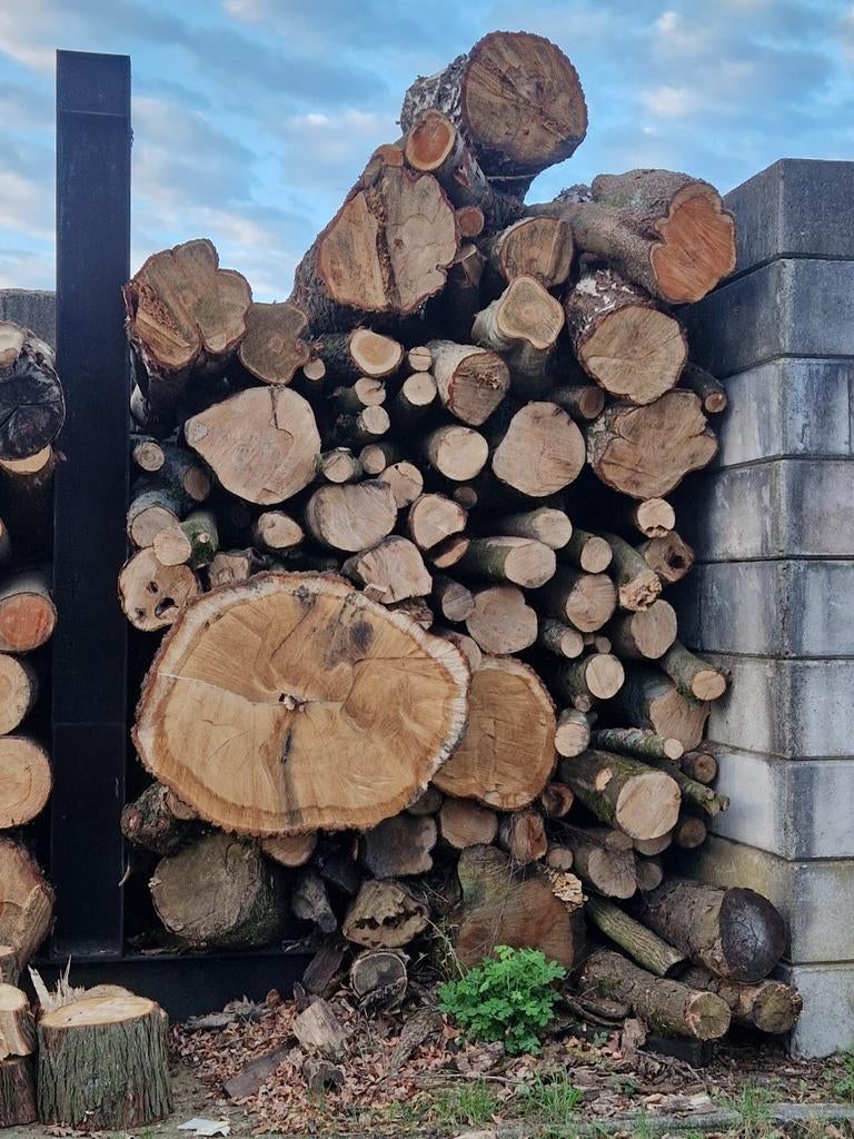 Rondhout haardhout loofhout - Diverse stammen, Tuin en Terras, Haardhout, 3 tot 6 m³, Ophalen, Overige houtsoorten, Stammen