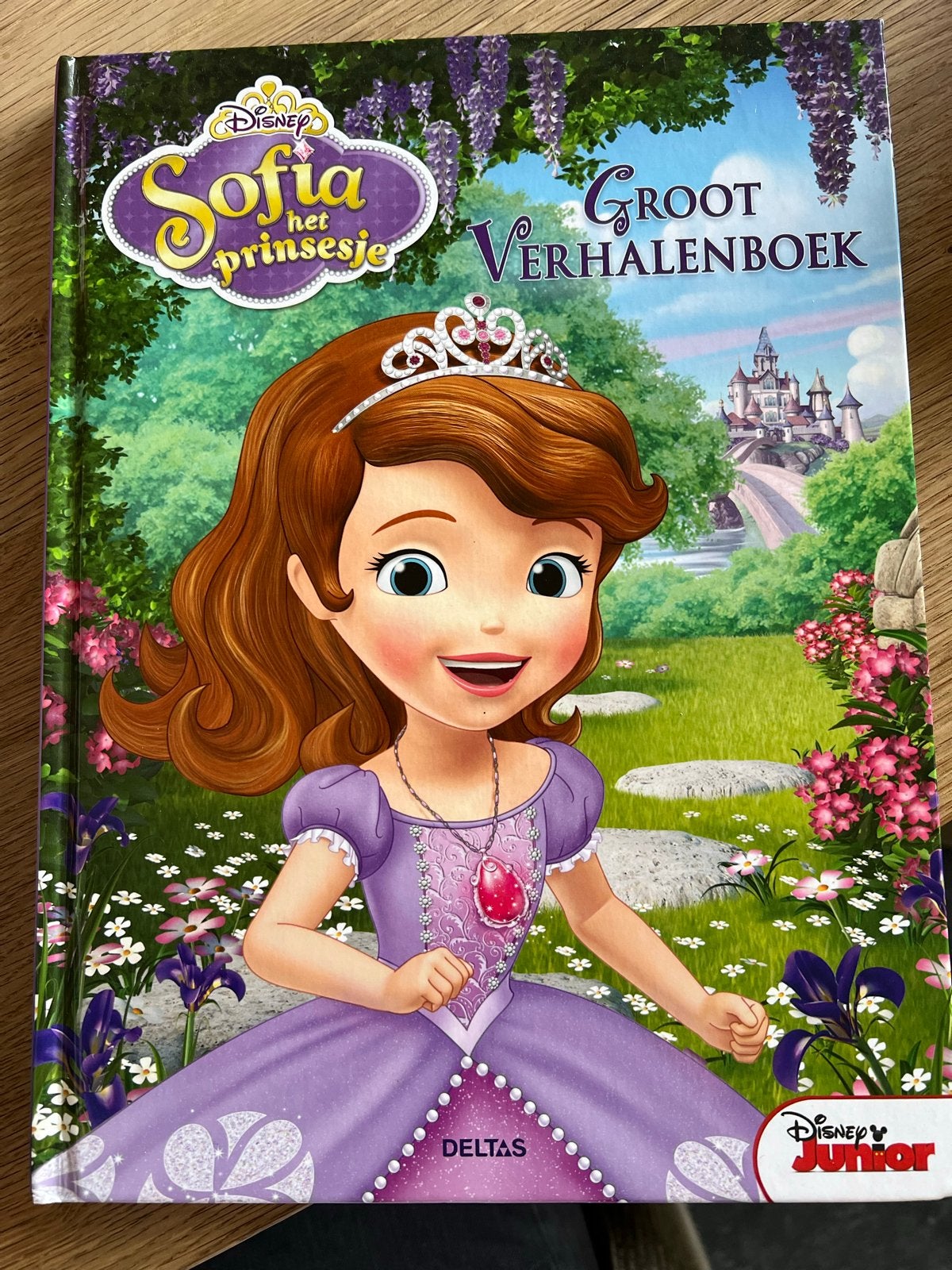 Disney Sofia het Prinsesje Groot Verhalenboek, 5 of 6 jaar, Meisje, Ophalen of Verzenden, Zo goed als nieuw