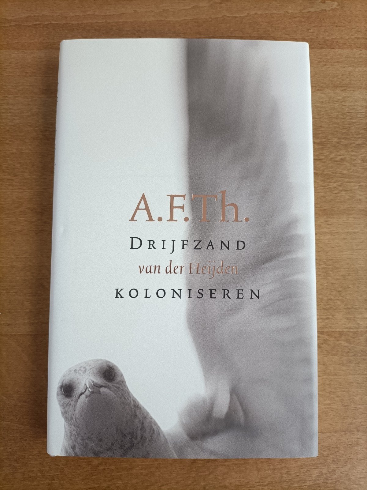 A.F.Th. van der Heijden - Drijfzand Koloniseren, Ophalen, Zo goed als nieuw, A.F.Th. van der Heijden, Nederland
