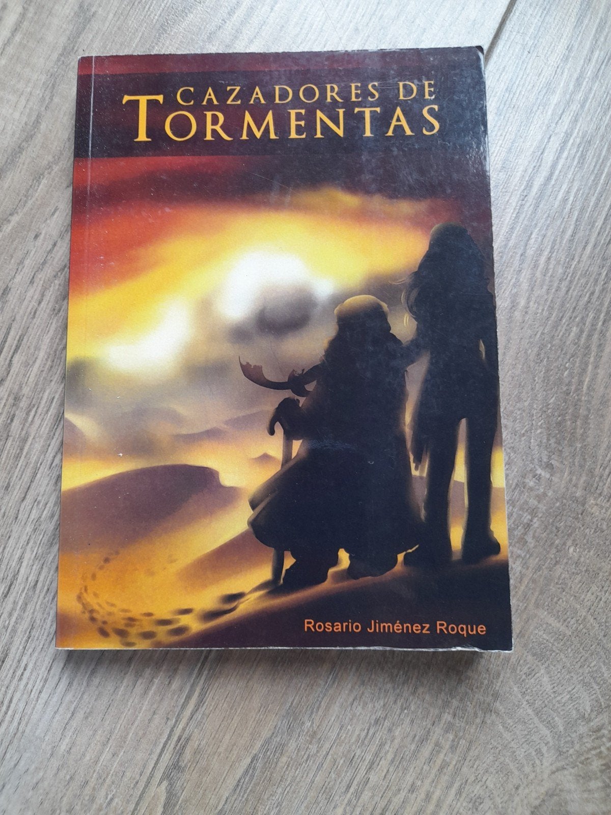 Cazadores de Tormentas - Spaans boek, Spaans leren, Ophalen of Verzenden, Zo goed als nieuw