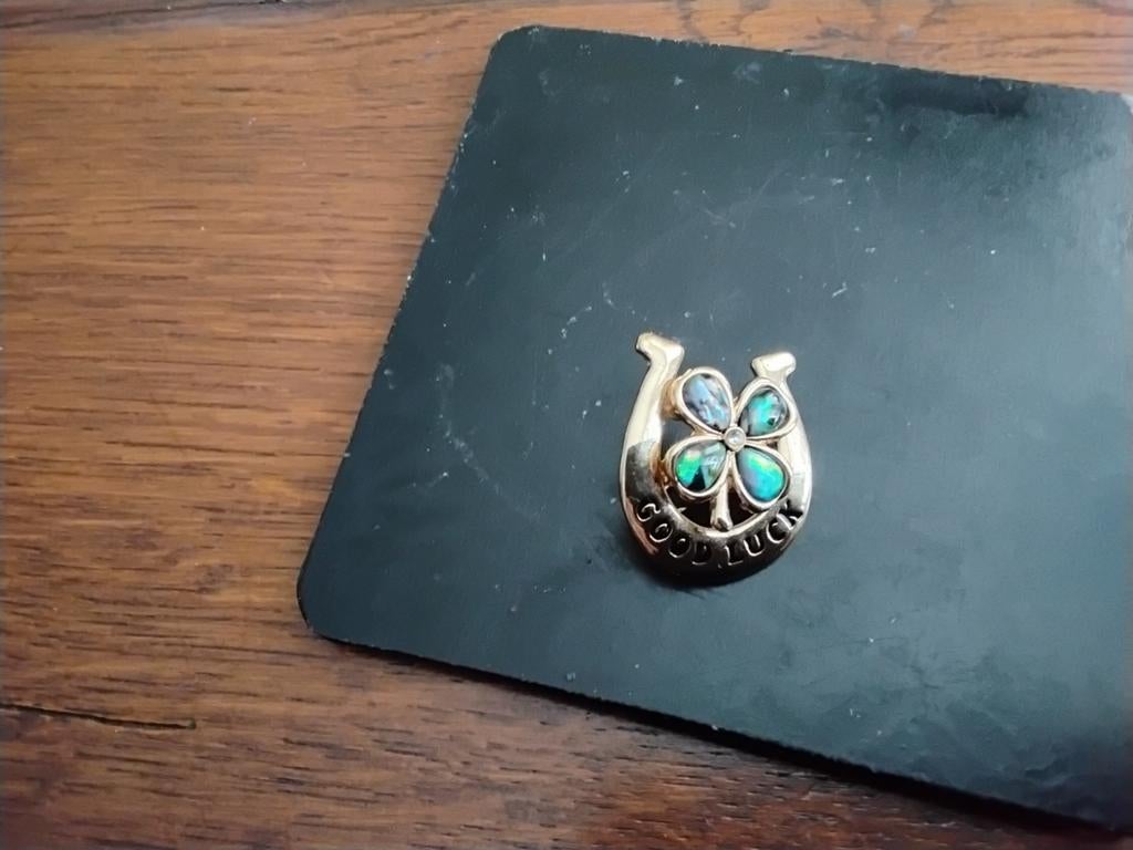 Mooie goudkleuringe hoefanker broche good luck, Ophalen of Verzenden, Zo goed als nieuw, Goud, Overige materialen
