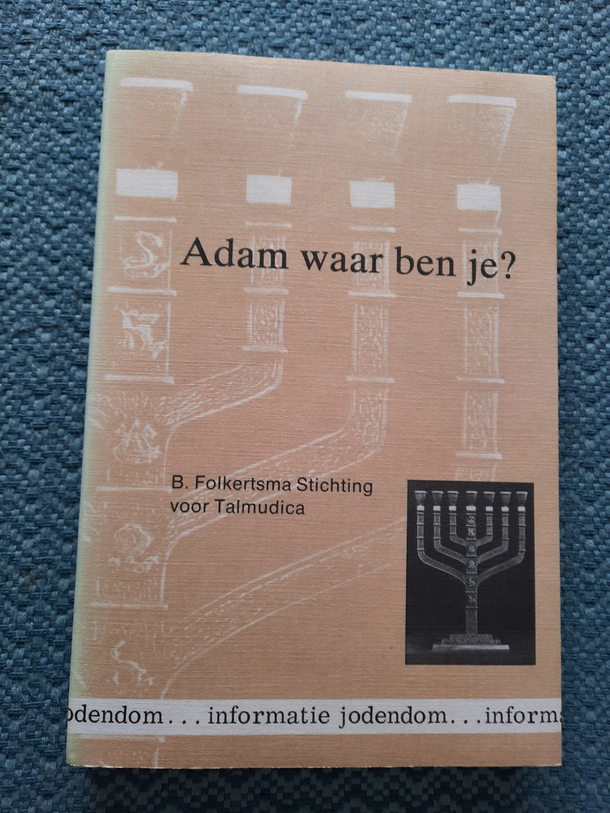 Adam waar ben je? - B. Folkertsma Stichting, Boeken, Ophalen of Verzenden