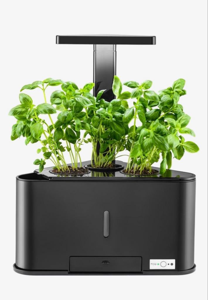 TEIG Home 3 Smart Garden - Zwart - nieuw in de verpakking, Volle zon, Vaste plant, Ophalen of Verzenden, Bloeit niet