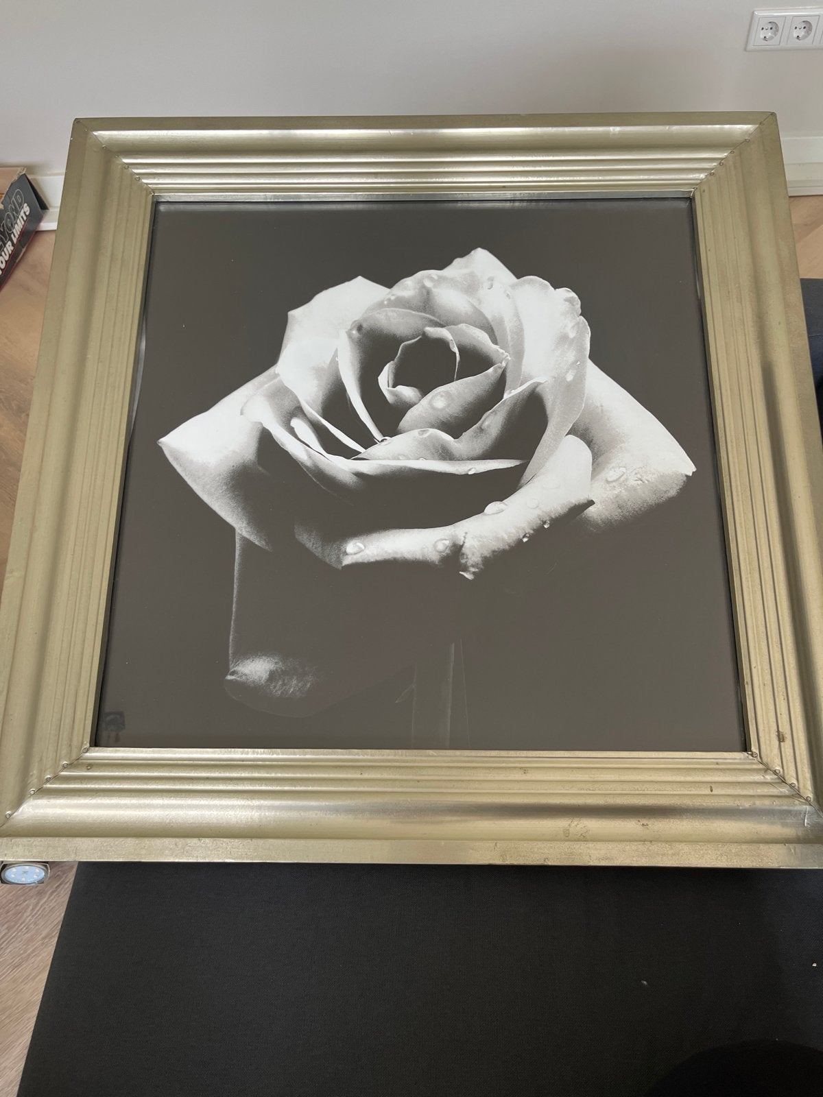 Gouden fotolijst met roos (zwart-wit), Ophalen, Minder dan 50 cm, 50 tot 75 cm, Zo goed als nieuw