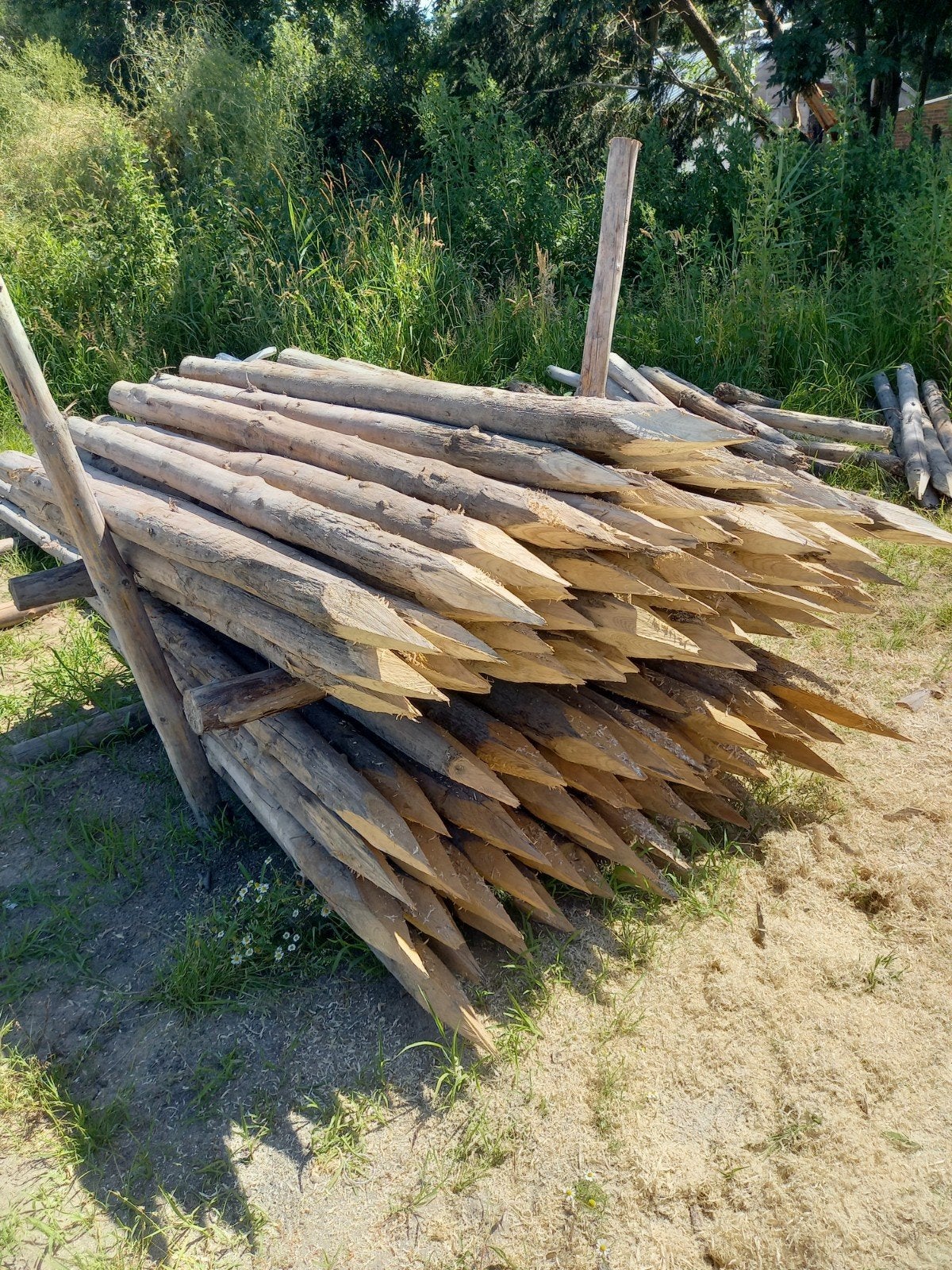 100 tuinpalen te koop., Ophalen, Gebruikt, 180 tot 250 cm, Palen