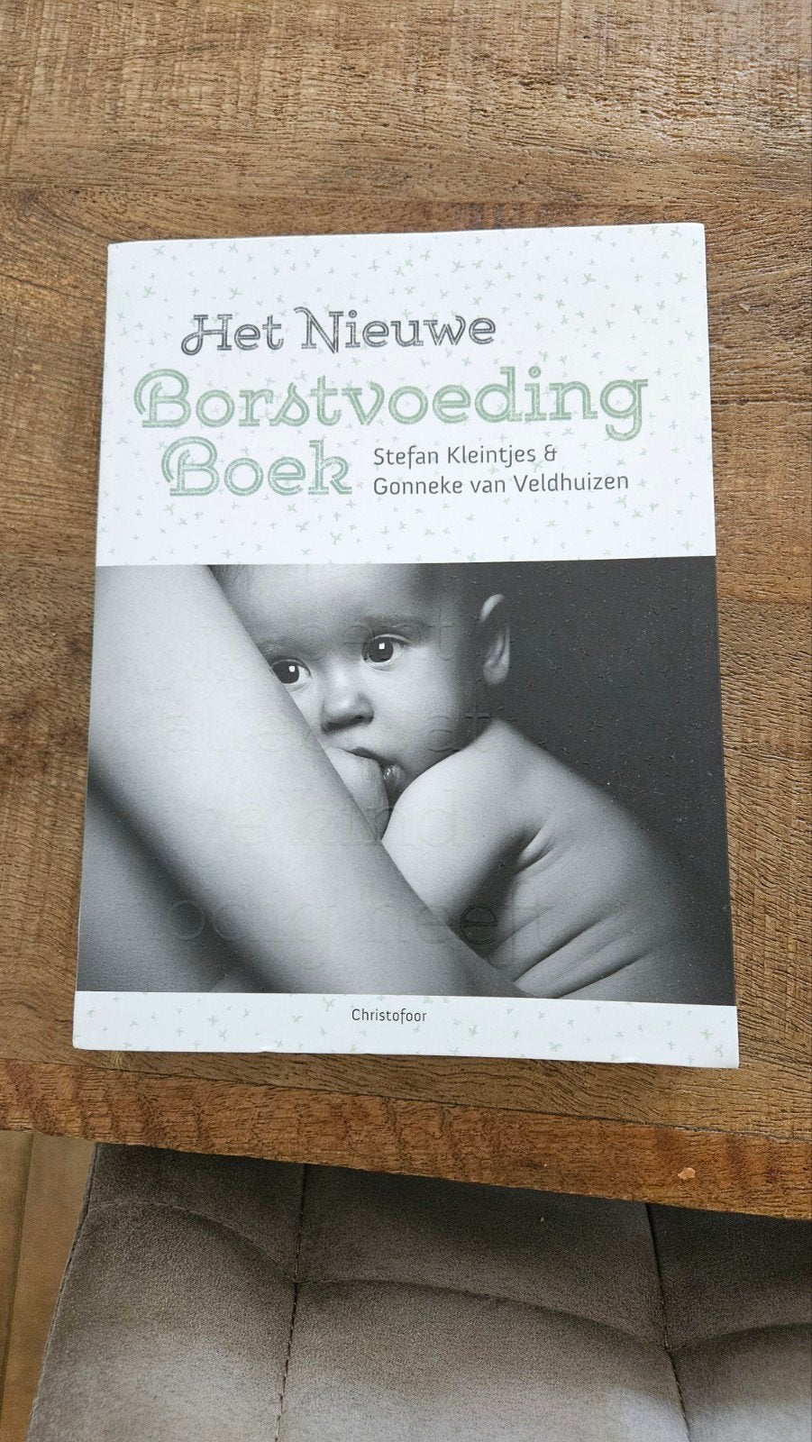 Het Nieuwe Borstvoeding Boek, Boeken, Ophalen of Verzenden, Zo goed als nieuw, Zwangerschap en Bevalling, Stefan Kleintjes & Gonneke van Veldhuizen
